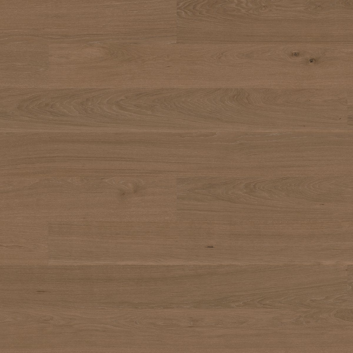 Hardwood Bjelin - Hylta - Desert Oak - Hardwood Box Bjelin
