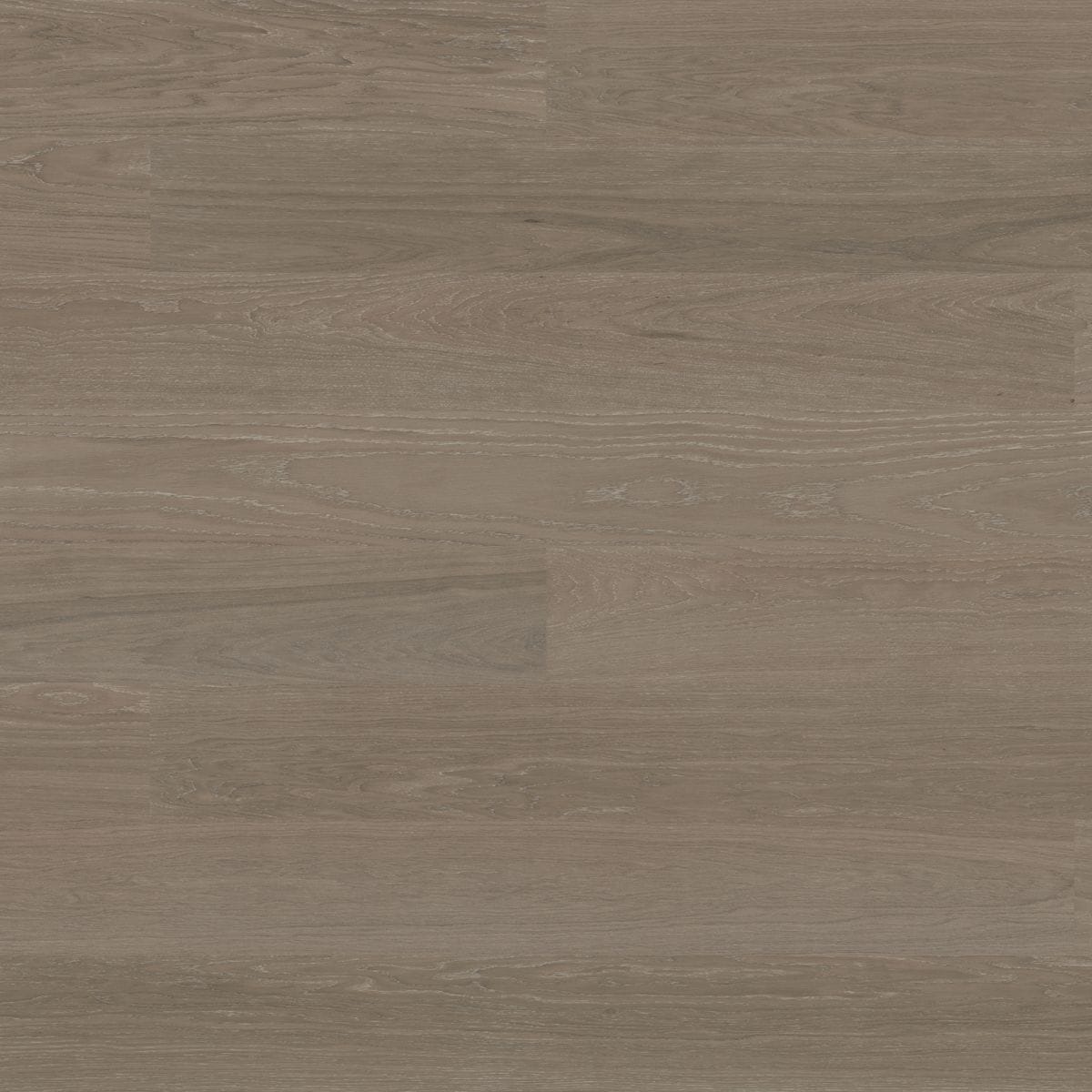 Hardwood Bjelin - RYA - Silver Oak - Hardwood Bjelin