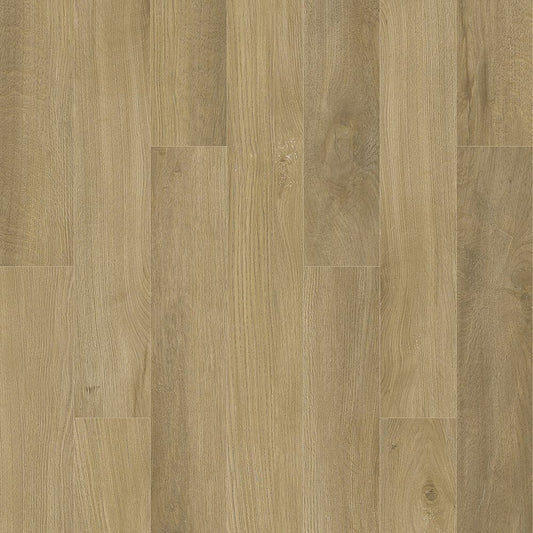 Luxury Vinyl Plank Arko - Estate - Chatham - Luxury Vinyl Plank Box Arko Flooring