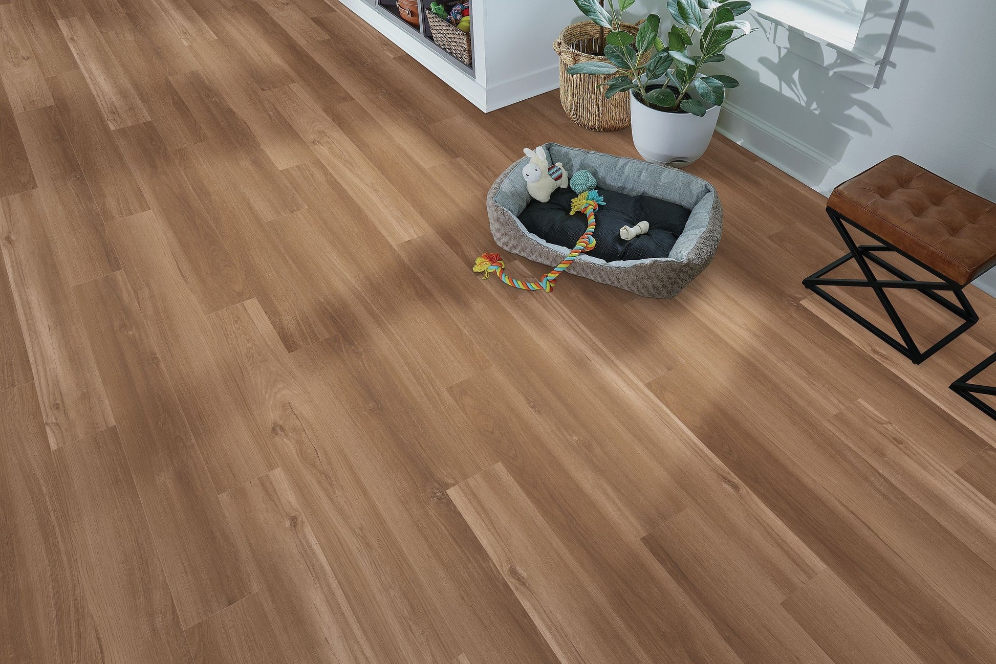 Luxury Vinyl Plank Arko - Reserve - Fairview - Luxury Vinyl Plank Arko Flooring