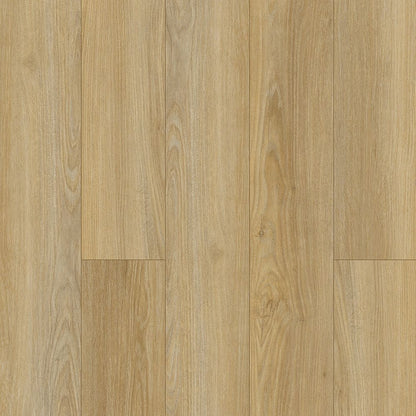 Luxury Vinyl Plank Arko - Signature - Meringue - Luxury Vinyl Plank Arko Flooring