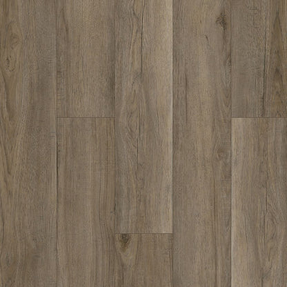 Luxury Vinyl Plank Arko - Signature - Terrene - Luxury Vinyl Plank Arko Flooring