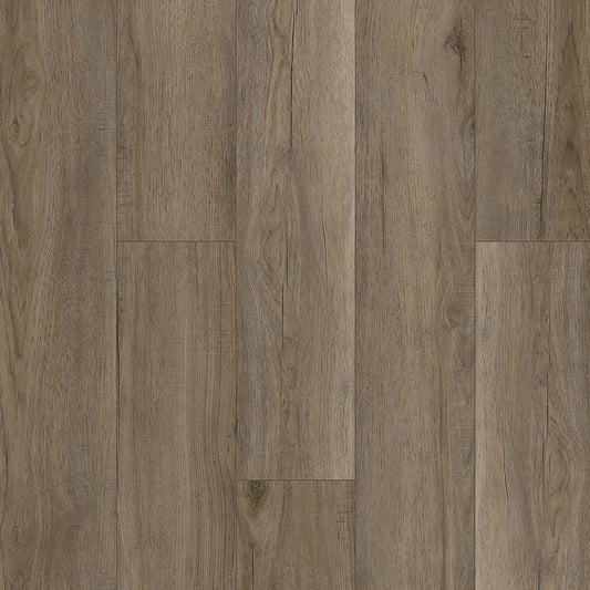 Luxury Vinyl Plank Arko - Signature - Terrene - Luxury Vinyl Plank Box Arko Flooring