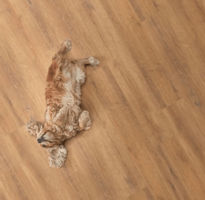 Luxury Vinyl Plank Legendary Floors - Cambridge - Dorset - Luxury Vinyl Plank Legendary Floors
