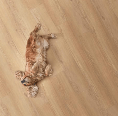 Luxury Vinyl Plank Legendary Floors - Cambridge - Grove - Luxury Vinyl Plank Legendary Floors