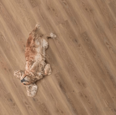 Luxury Vinyl Plank Legendary Floors - Cambridge - Oakdale - Luxury Vinyl Plank Legendary Floors