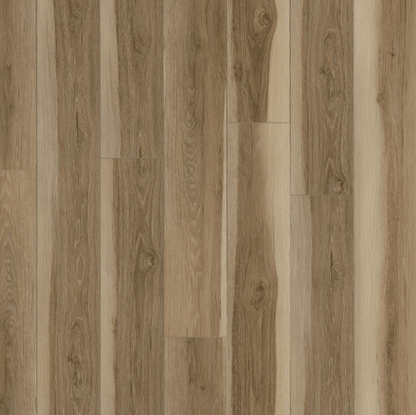 Luxury Vinyl Plank MSI - Everlife - Andover - Wilton - LVP MSI