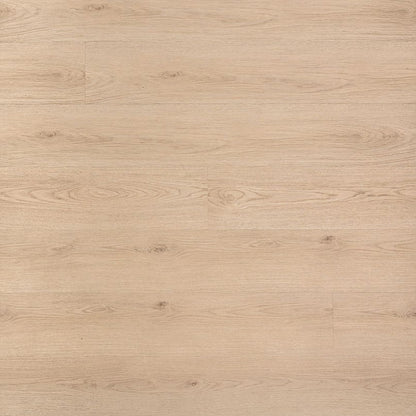 Luxury Vinyl Plank MSI - Everlife® Rigid Core - Prescott - Chester Hills - Luxury Vinyl Plank MSI