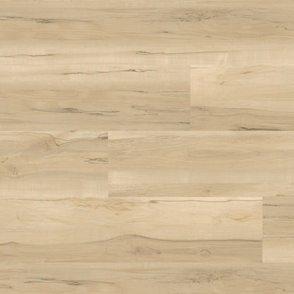 Luxury Vinyl Plank MSI - Nove - Akadia - Luxury Vinyl Plank MSI