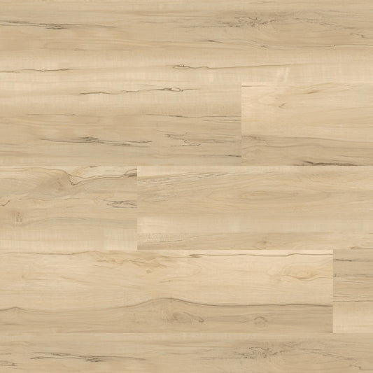 Luxury Vinyl Plank MSI - Nove - Akadia - Luxury Vinyl Plank MSI