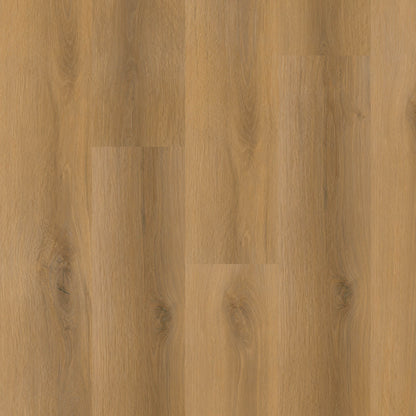 Luxury Vinyl Plank MSI - Nove - Scandi - Luxury Vinyl Plank MSI