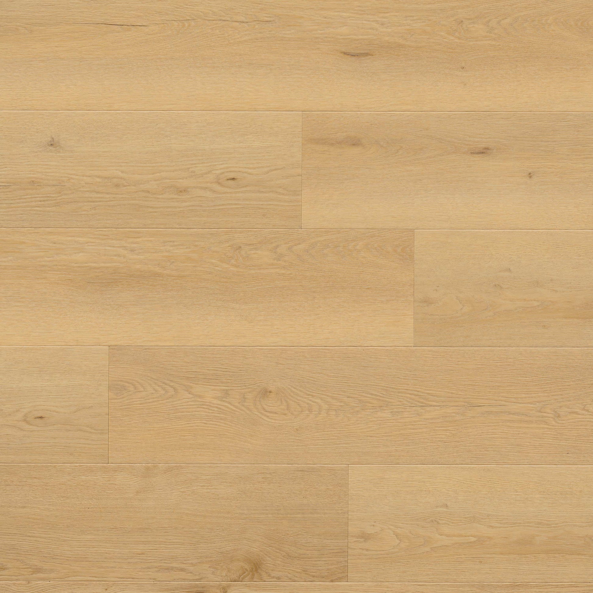 Luxury Vinyl Plank MSI - Wayne Parc - Bluffview - Luxury Vinyl Plank MSI