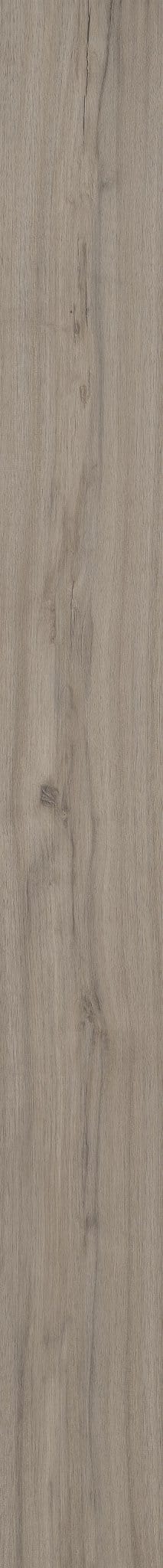 Luxury Vinyl Plank Shaw - COREtec Originals Classics VV023 - Ashton Woods Oak - Luxury Vinyl Plank Shaw