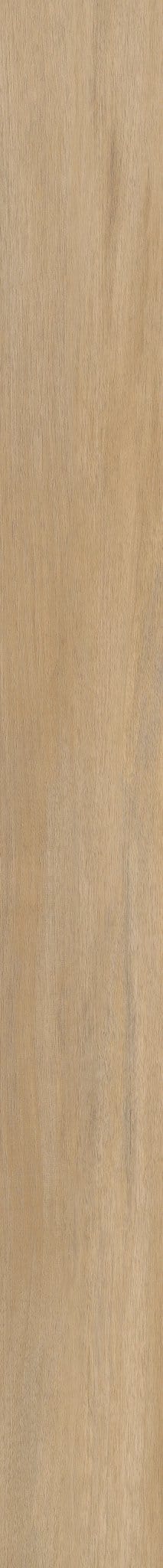 Luxury Vinyl Plank Shaw - COREtec Originals Classics VV023 - Dodwell Oak - Luxury Vinyl Plank Shaw