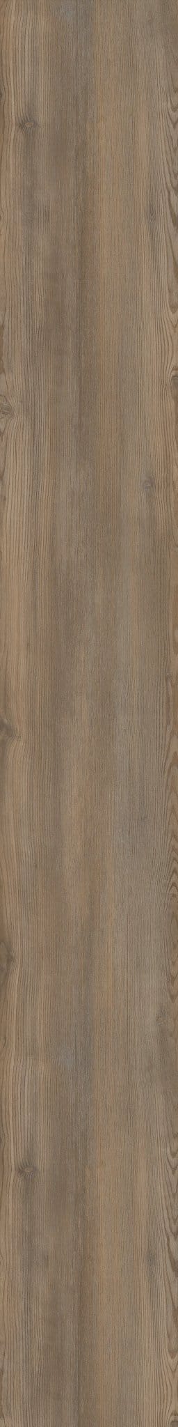 Luxury Vinyl Plank Shaw - COREtec Originals Premium VV457 - Treasure Pine - Luxury Vinyl Plank Shaw