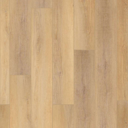 Luxury Vinyl Plank Shaw - COREtec Pro Plus Enhanced HD 9" VV488 - Canterbury Elm - Luxury Vinyl Plank Shaw