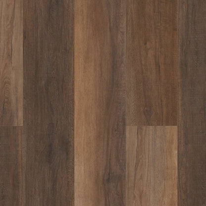 Luxury Vinyl Plank Shaw - COREtec Pro Plus Enhanced HD 9" VV488 - Cheshire Elm - Luxury Vinyl Plank Shaw