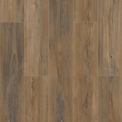 Shaw -  COREtec Pro Plus Enhanced VV492 - Edinburgh Oak - Luxury Vinyl Plank