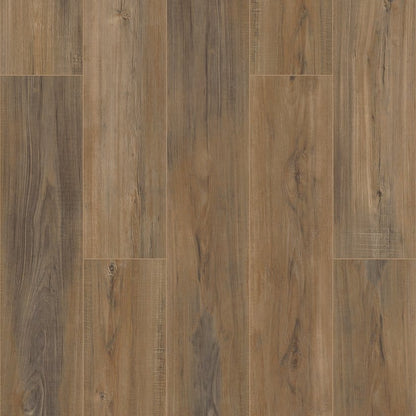 Luxury Vinyl Plank Shaw -  COREtec Pro Plus Enhanced VV492 - Edinburgh Oak - Luxury Vinyl Plank Shaw
