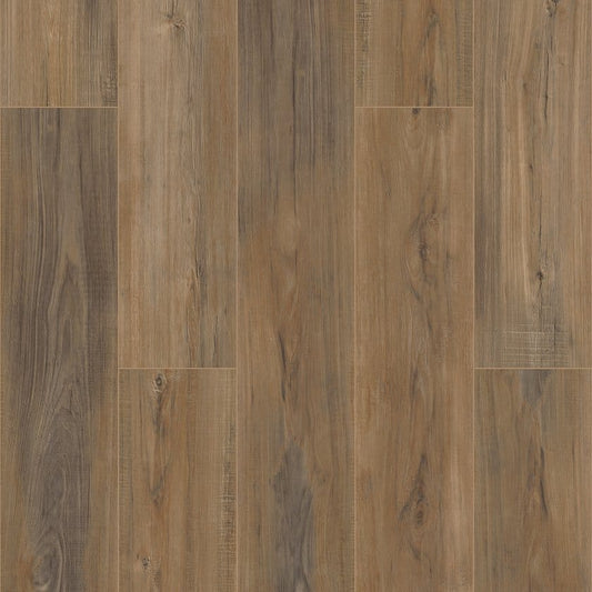 Luxury Vinyl Plank Shaw -  COREtec Pro Plus Enhanced VV492 - Edinburgh Oak - Luxury Vinyl Plank Shaw