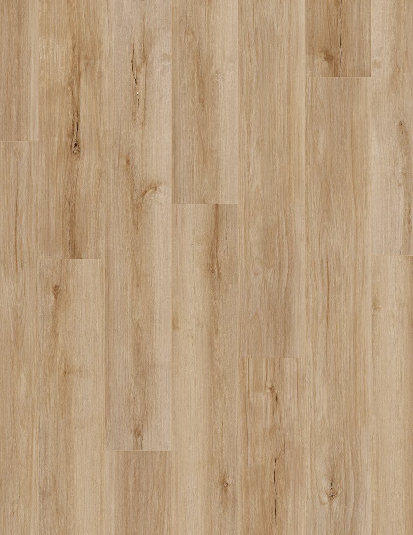 Luxury Vinyl Plank Shaw -  COREtec Pro Plus Enhanced VV492 - Lucent Oak - Luxury Vinyl Plank Shaw