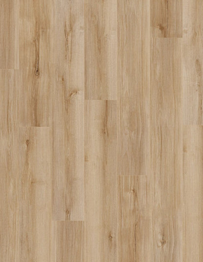 Luxury Vinyl Plank Shaw -  COREtec Pro Plus Enhanced VV492 - Lucent Oak - Luxury Vinyl Plank Shaw