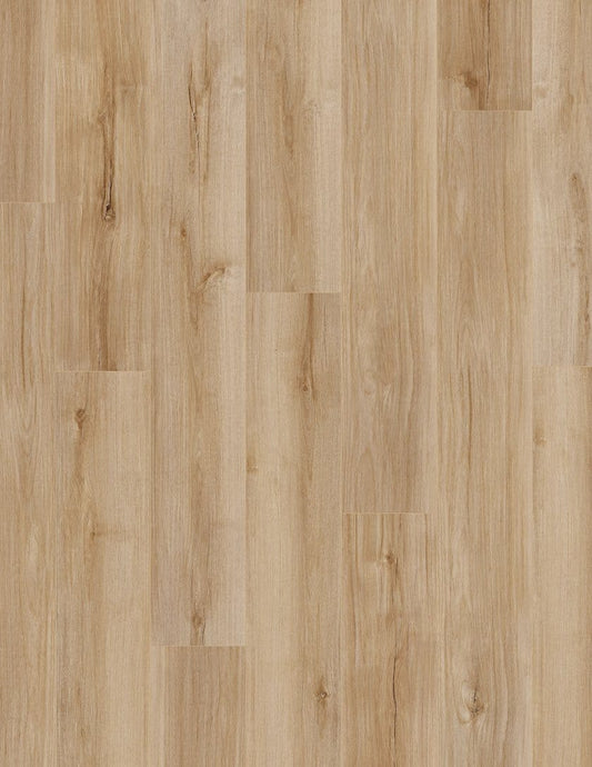 Luxury Vinyl Plank Shaw -  COREtec Pro Plus Enhanced VV492 - Lucent Oak - Luxury Vinyl Plank Shaw