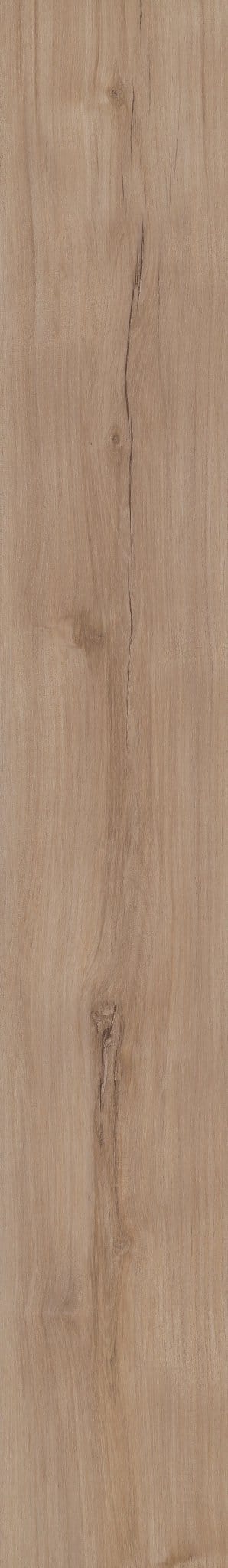 Luxury Vinyl Plank Shaw -  COREtec Pro Plus Enhanced VV492 - Lucent Oak - Luxury Vinyl Plank Shaw