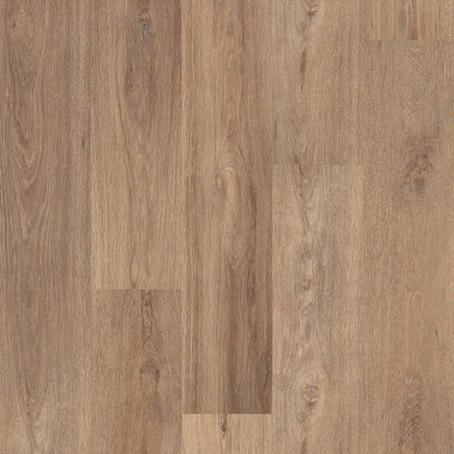 Luxury Vinyl Plank Shaw -  COREtec Pro Plus Enhanced VV492 - Lyric Oak - Luxury Vinyl Plank Shaw
