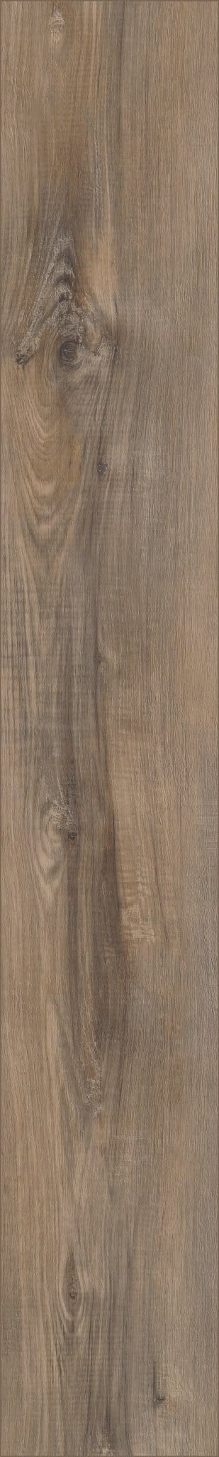 Luxury Vinyl Plank Shaw -  COREtec Pro Plus Enhanced VV492 - Portchester Oak - Luxury Vinyl Plank Shaw