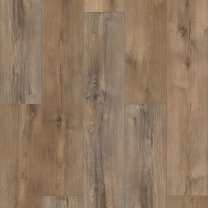 Luxury Vinyl Plank Shaw -  COREtec Pro Plus Enhanced VV492 - Portchester Oak - Luxury Vinyl Plank Shaw