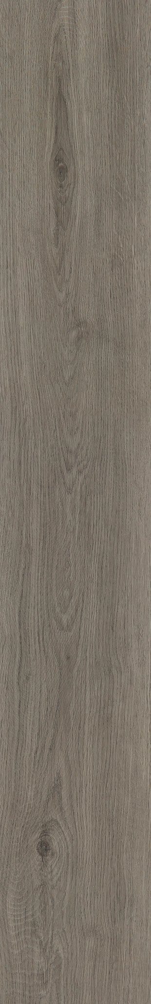 Luxury Vinyl Plank Shaw -  COREtec Pro Plus Enhanced VV492 - Sharpwell Oak - Luxury Vinyl Plank Shaw