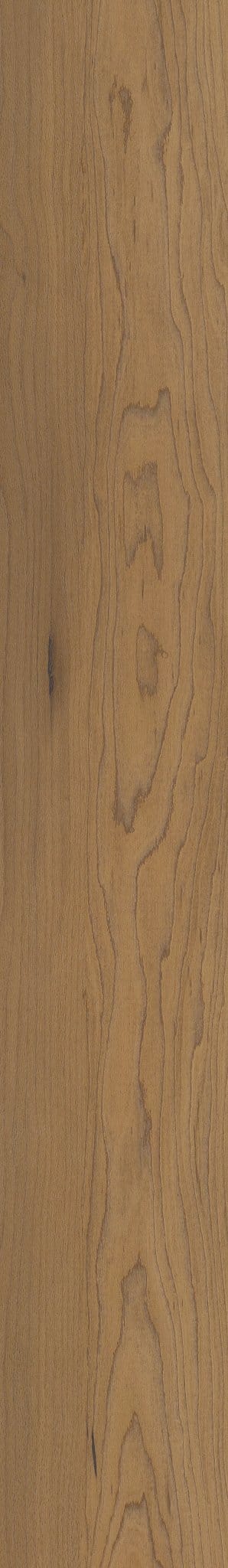 Luxury Vinyl Plank Shaw - COREtec Pro Premium VV800 - Essex Maple - Luxury Vinyl Plank Shaw