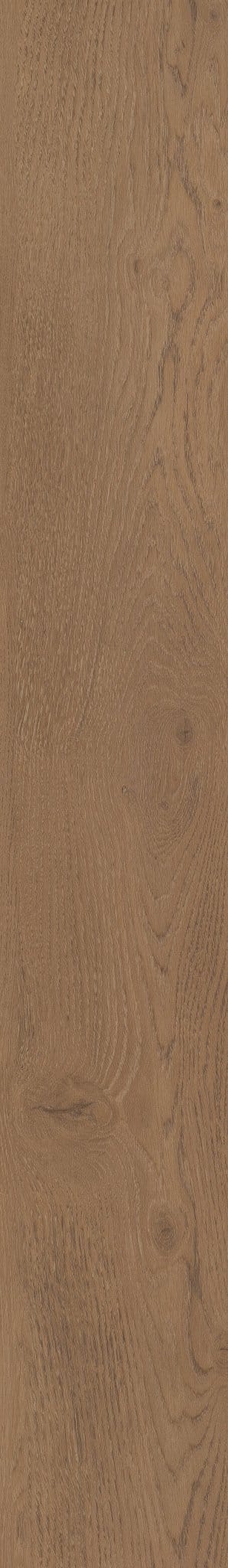 Luxury Vinyl Plank Shaw - COREtec Pro Premium VV800 - Fairhaven Oak - Luxury Vinyl Plank Shaw