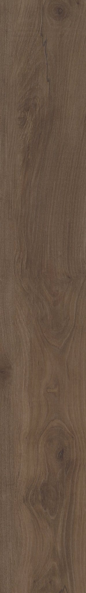 Luxury Vinyl Plank Shaw - COREtec Pro Premium VV800 - Stonehaven Maple - Luxury Vinyl Plank Shaw