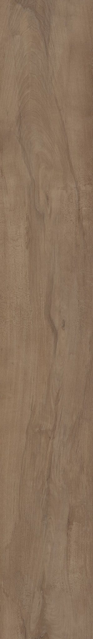 Luxury Vinyl Plank Shaw - COREtec Pro Premium VV800 - Warwick Maple - Luxury Vinyl Plank Shaw