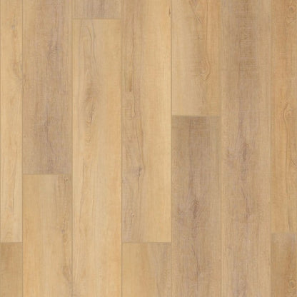 Luxury Vinyl Plank Shaw - Enterprise 9" - Canterbury Elm - Luxury Vinyl Plank Shaw