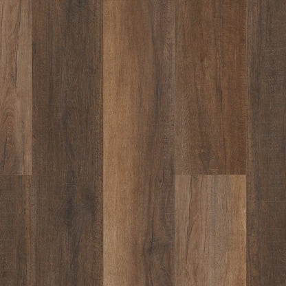 Luxury Vinyl Plank Shaw - Enterprise 9" - Cheshire Elm - Luxury Vinyl Plank Shaw