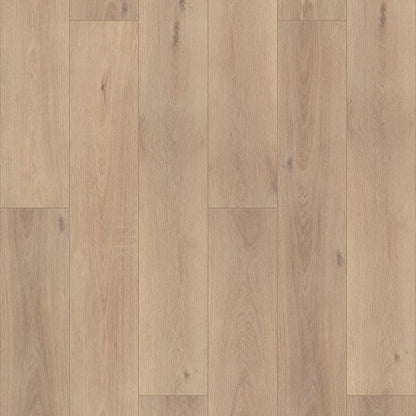 Luxury Vinyl Plank Shaw - Enterprise 9" - Ravenswood Oak - Luxury Vinyl Plank Shaw