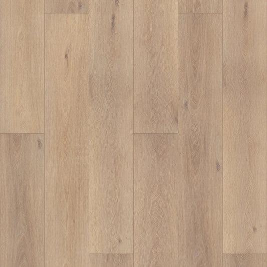 Luxury Vinyl Plank Shaw - Enterprise 9" - Ravenswood Oak - Luxury Vinyl Plank Shaw