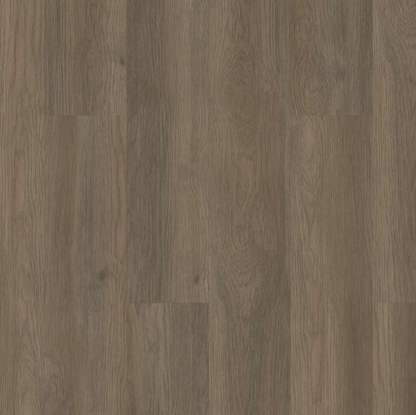 Luxury Vinyl Plank Shaw Floors - Resilient Residential - Limitless 20 - Raconteur Shaw