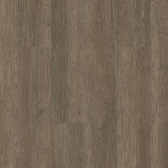 Luxury Vinyl Plank Shaw Floors - Resilient Residential - Limitless SPC SS - Raconteur Shaw