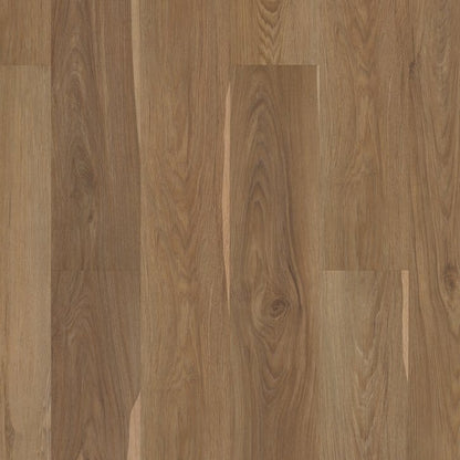 Luxury Vinyl Plank Shaw - Supino HD+ Natural Bevel - Olive Tree - Luxury Vinyl Plank Shaw
