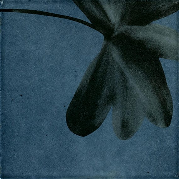 Tile Marazzi - Rice - Blu Deco Blossom Square 6x6 Glossy - Tile Marazzi