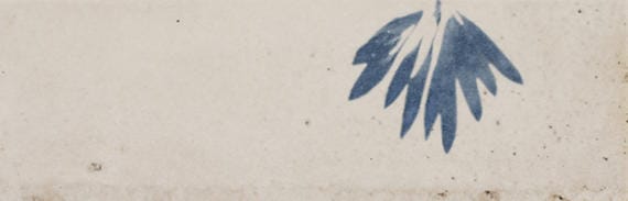 Tile Marazzi - Rice - Natural Deco Leaf Rectangle 2x6 Glossy - Tile Marazzi