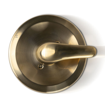 Tub & Shower Faucet MSI - 1-Handle 1-Spray Tub and Shower Faucet with Pressure Balance Valve - 608 Gold MSI