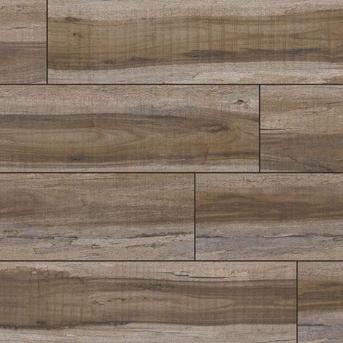 Flooring & Carpet MSI - Everlife® Rigid Core (RC) Collection - XL Cyrus - Exotika Arko Flooring