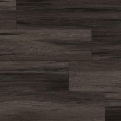 Flooring & Carpet MSI - Everlife® Rigid Core (RC) Collection - XL Cyrus - Jenta Arko Flooring