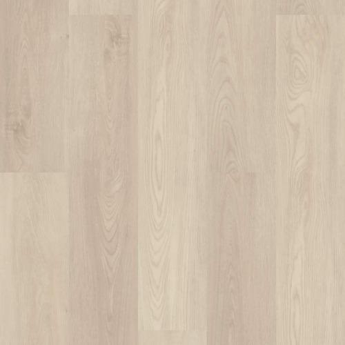 Luxury Vinyl Plank Shaw Floors - Endura Plus - Silver Dollar Box Shaw