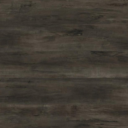 MSI - Everlife® Rigid Core (RC) Collection - Cyrus - Billingham Arko Flooring